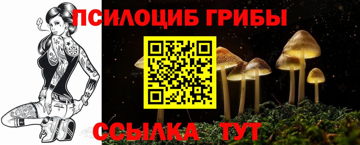 Галлюциногенные грибы Cubensis Чехов