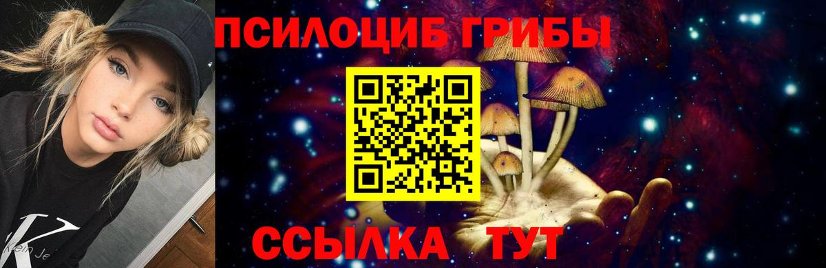 Галлюциногенные грибы Psilocybe  Вход с VPN  Чехов 